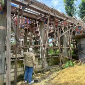 Phillipines feeding centre and well